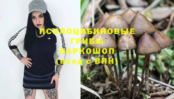 кристаллы Абаза